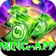 Rumi Slots King Gaming App
